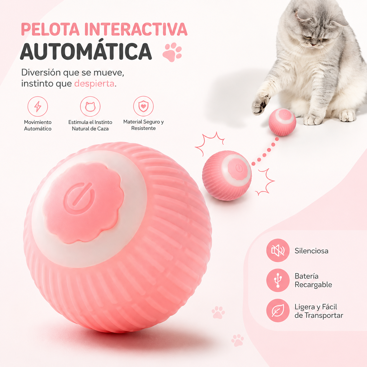 🐱 PurrCare™ | Kit 2 en 1 para Gatos