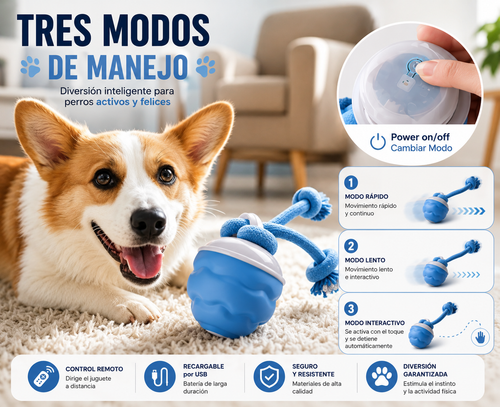 RoboPlay™ | Juguete Interactivo con Control Remoto